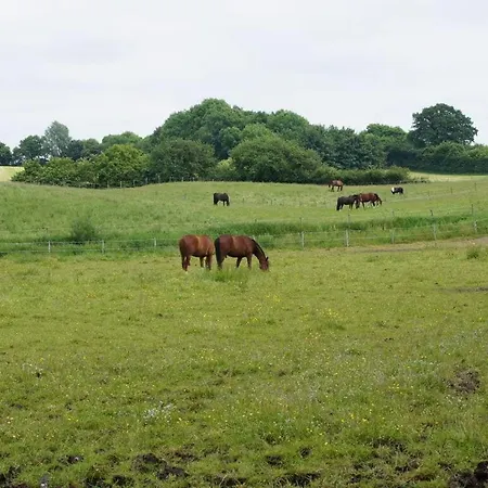 Apartament Farm At Grebiner Grebin